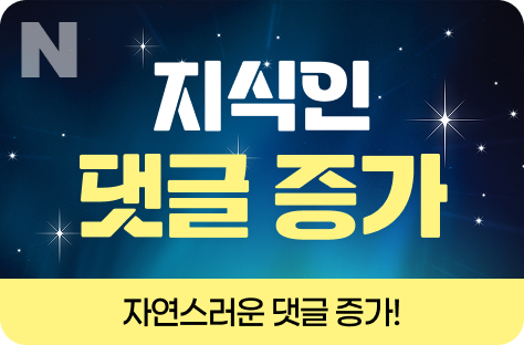 N포털 지식인 댓글 증가