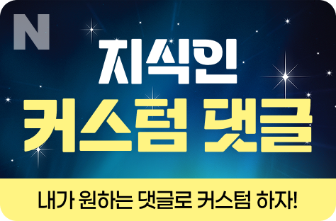 N포털 지식인 커스텀 댓글 증가