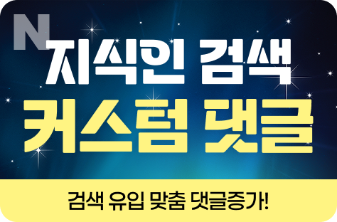N포털 지식인 검색 커스텀 댓글 증가