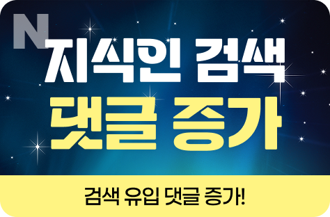 N포털 지식인 검색 댓글 증가