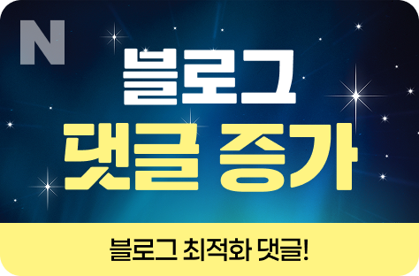 N포털 블로그 댓글 증가