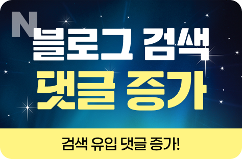 N포털 블로그 검색 댓글 증가
