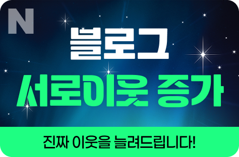 N포털 블로그 서로이웃 증가