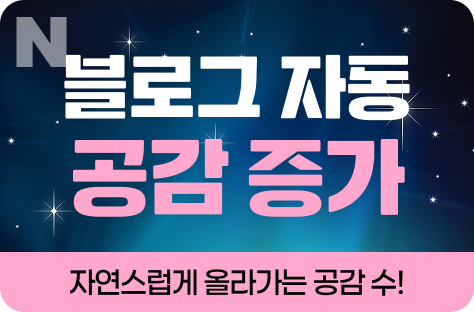 N포털 블로그 자동 공감 증가
