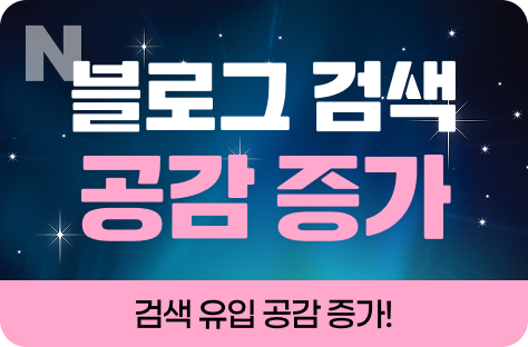 N포털 블로그 검색 공감 증가