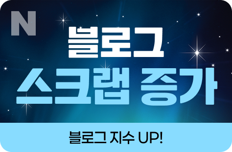N포털 블로그 스크랩 증가