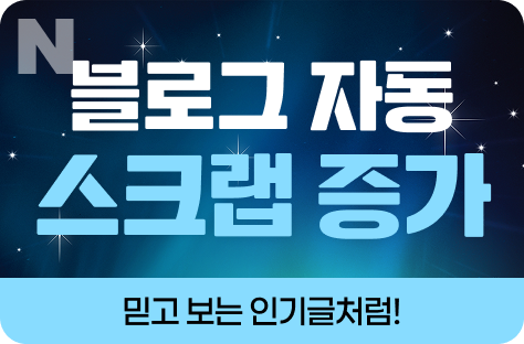 N포털 블로그 자동 스크랩 증가