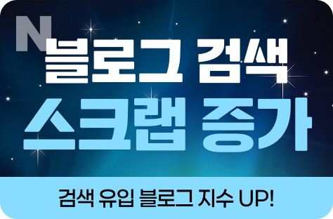 N포털 블로그 검색 스크랩 증가